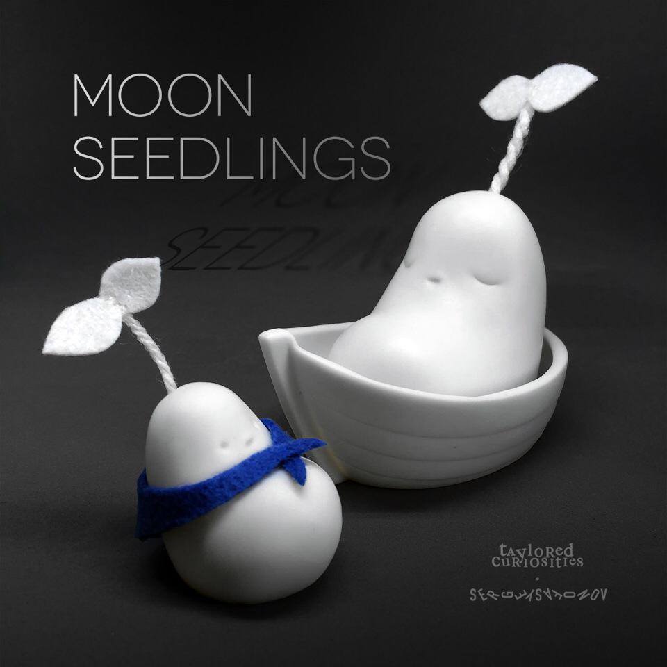 Moon Seedlings taylored curiosities