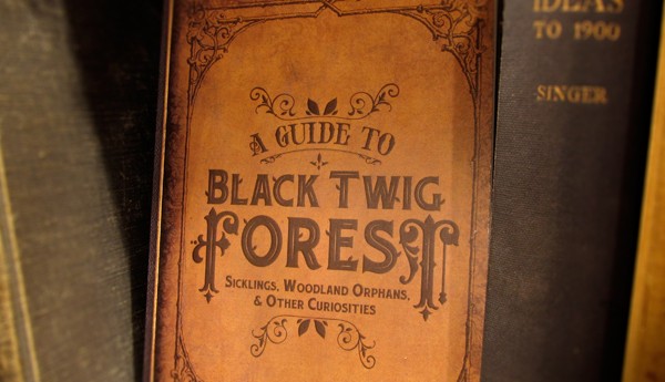 Black_Twig_Forest_Book_Release_Woot_Bear_Yosiell_Lorenzo_Sicklings