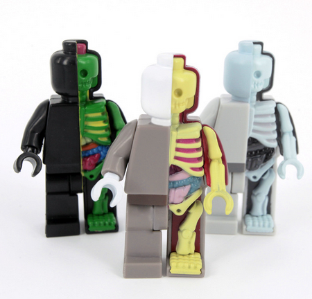 Micro Anatomic by Jason Freeny Mighty Jaxx Kaws OG Lego mini fig style set