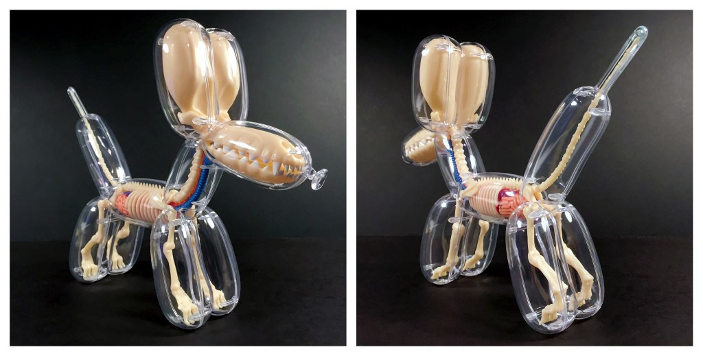 The Balloon Dog Anatomy by Jason Freeny x 4D Frame Master twin clear