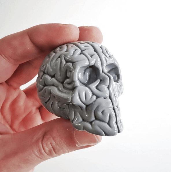 Mini Skull Brain Mono Edition By Emilio Garcia Lapolab