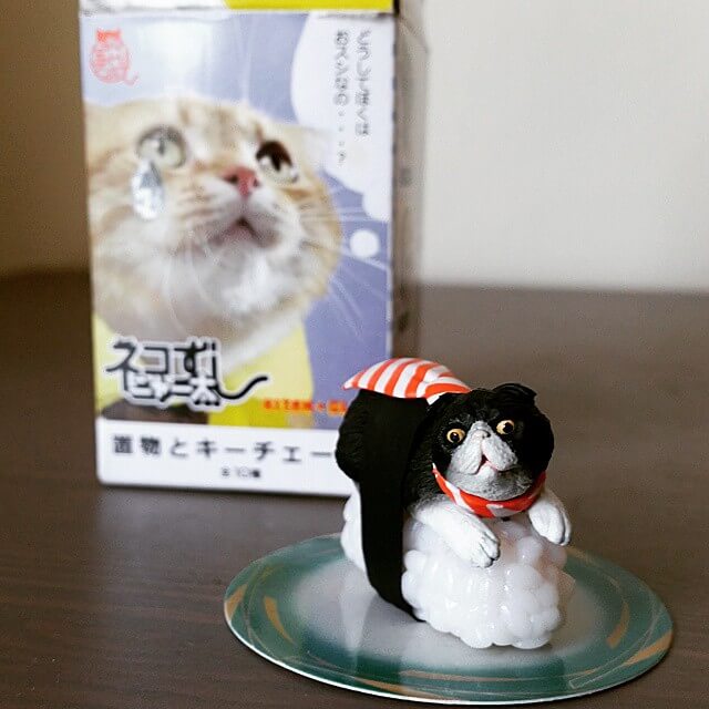 Sushi Cats (Neko-Sushi) by Tange Nakimushi