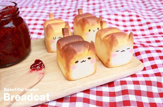 The BREADCAT By Rato Workroom