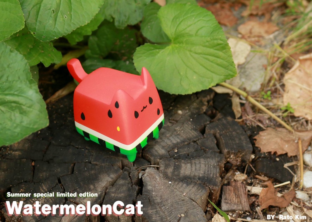 WatermelonCat By Rato Kim breadcat toy outside