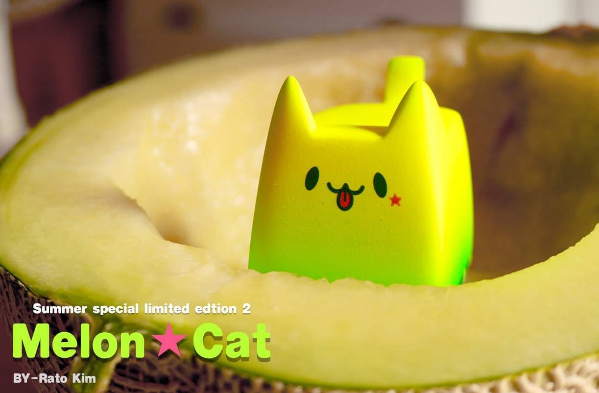 Boxcat Summer series MElon Bread CAt By Rato Kim 2