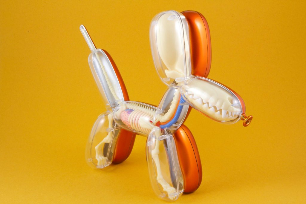 anatomic-balloon-dog-in-deep-persimmon-by-jason-freeny-x-might-jaxx-4dmaster