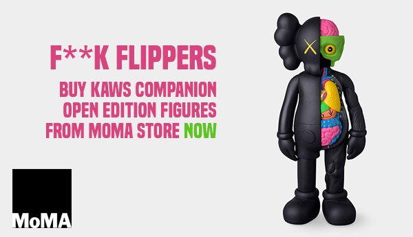 fuck-flippers-kaws-companion