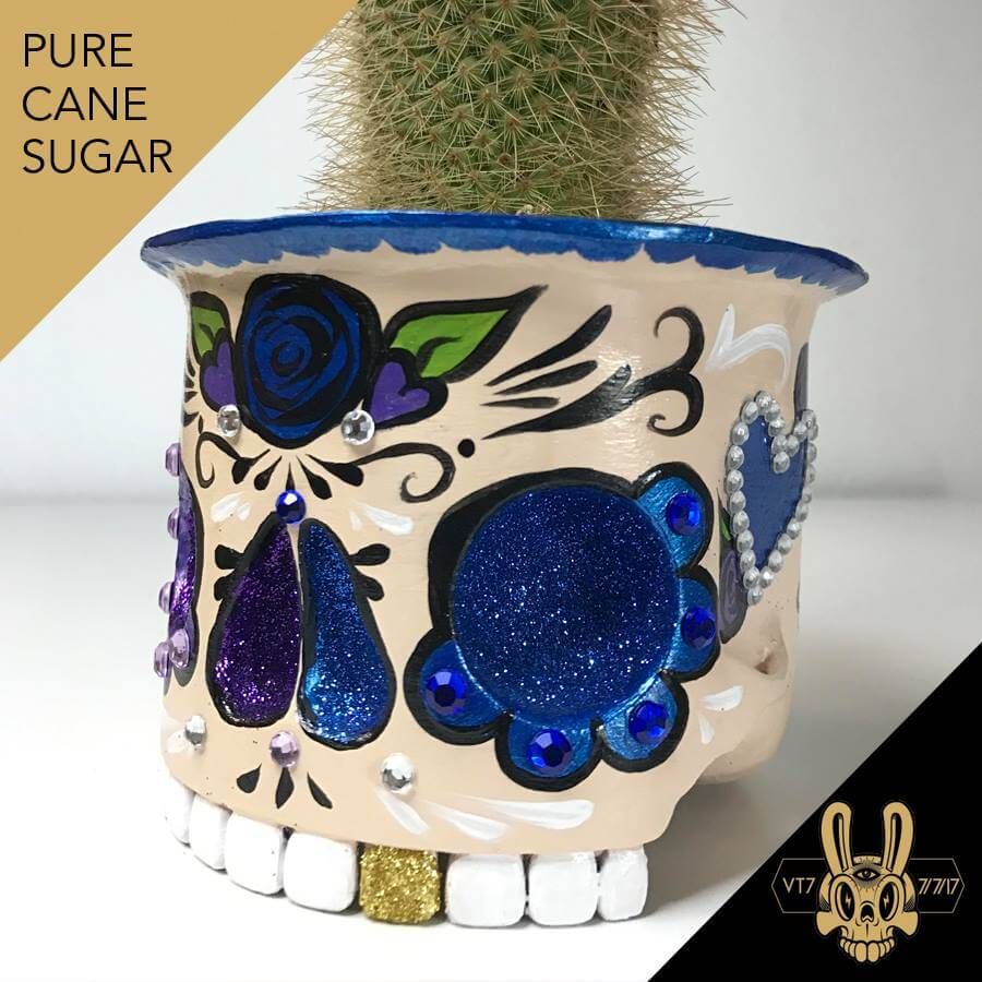 pure-cane-sugar-vinylthoughts7