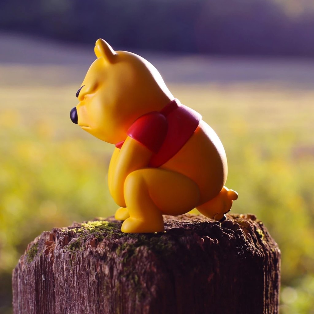 Alex Solis JUMBO Pooh Pooh FUNNY TOY edition - The Toy Chronicle