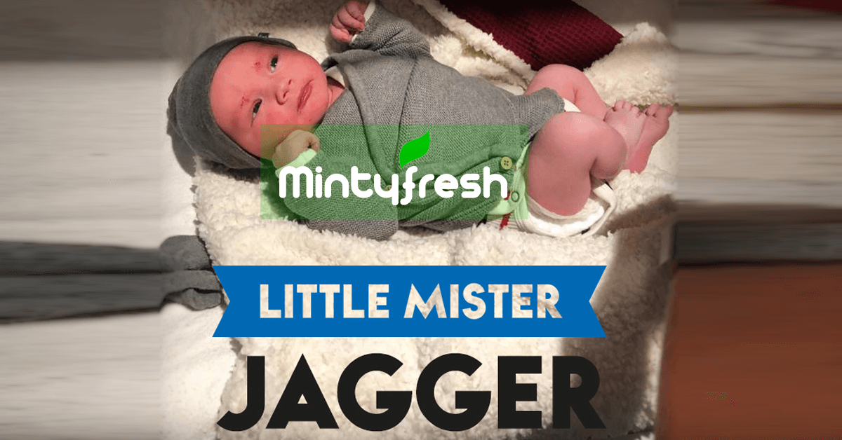 mintyfresh-little-mister-jagger-featured